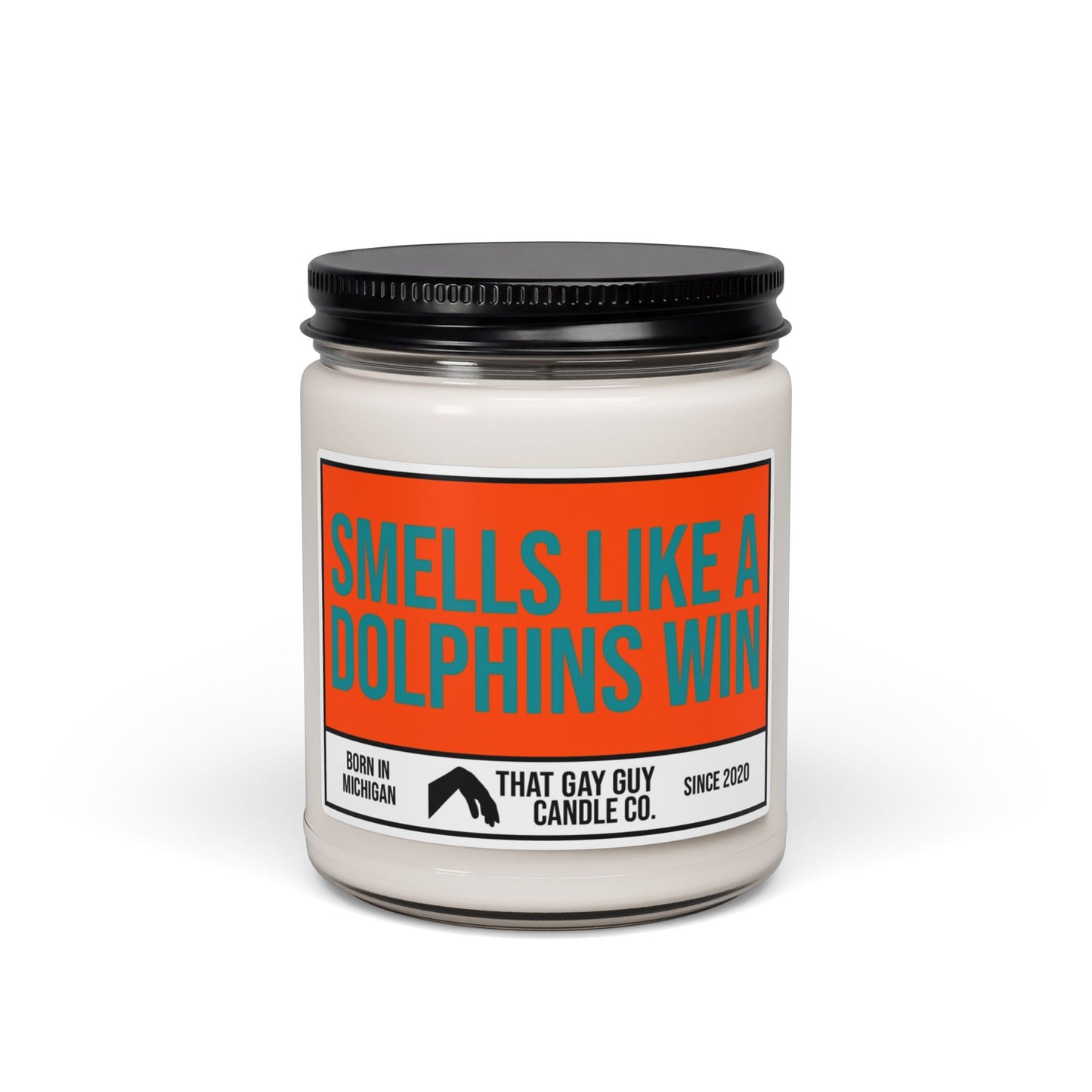 SMELLS LIKE A DOLPHINS WIN