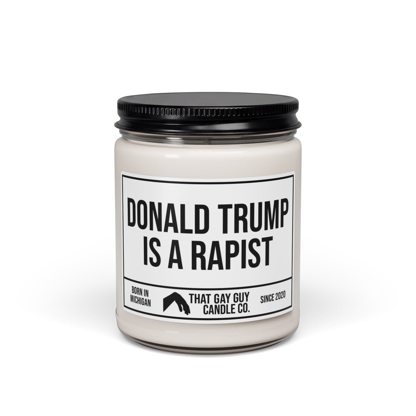DONALD TRUMP IS A RAPIST