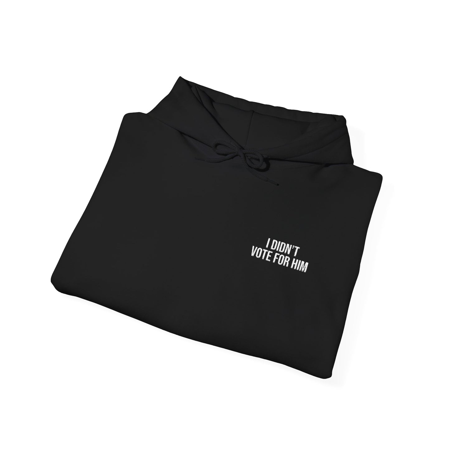 ALL-GENDER EMBROIDERED I DIDN'T VOTE FOR HIM HOODIE
