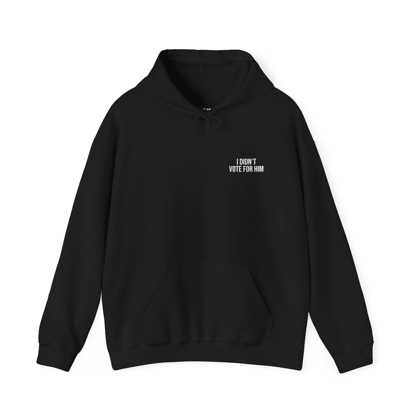 ALL-GENDER EMBROIDERED I DIDN'T VOTE FOR HIM HOODIE