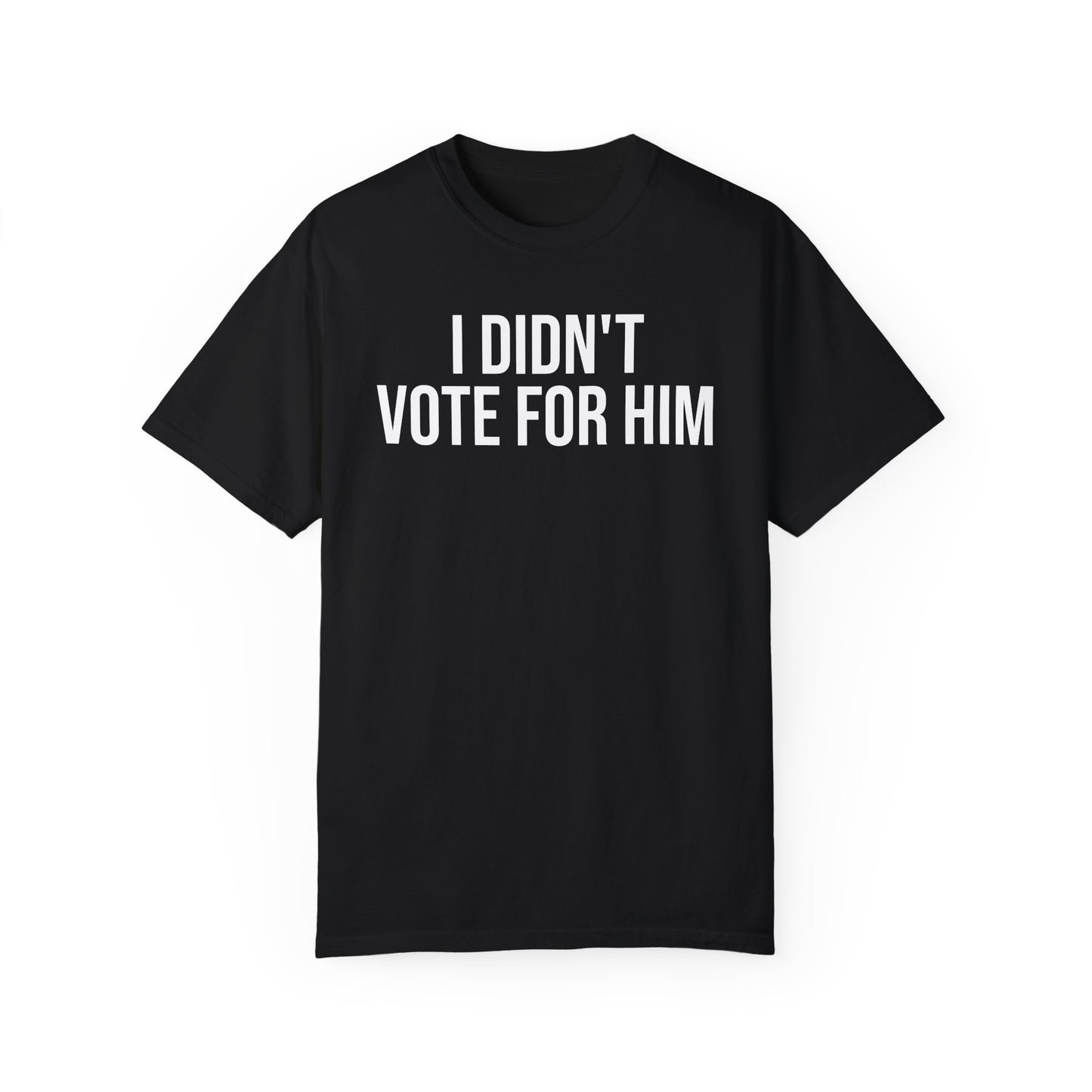 I DIDN'T VOTE FOR HIM ALL-GENDER TEE