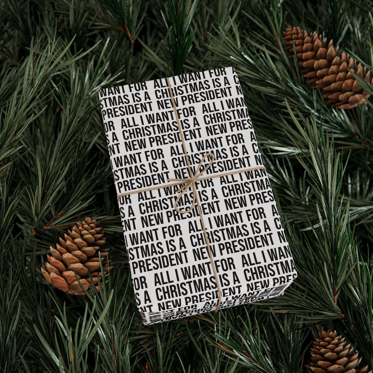 ALL I WANT FOR CHRISTMAS IS A NEW PRESIDENT WRAPPING PAPER