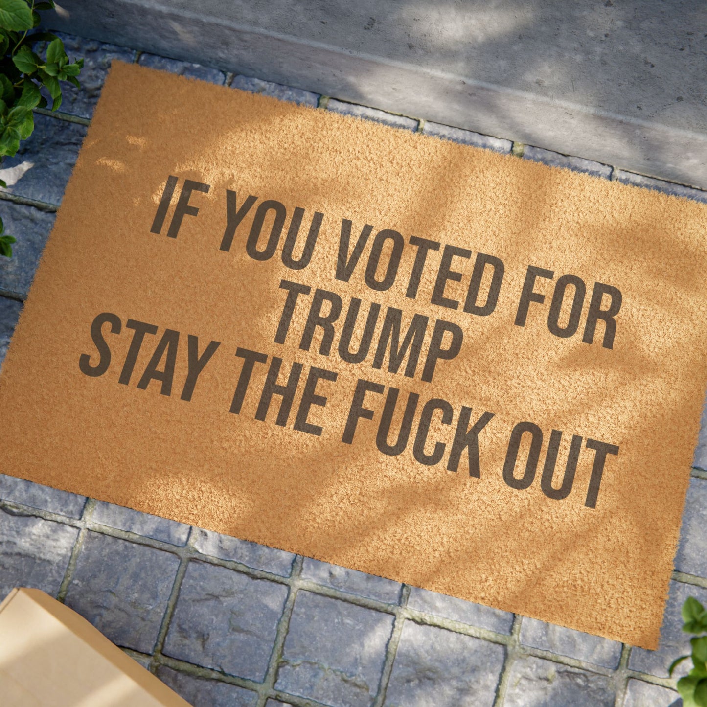 IF YOU VOTED FOR TRUMP STAY THE FUCK OUT DOORMAT