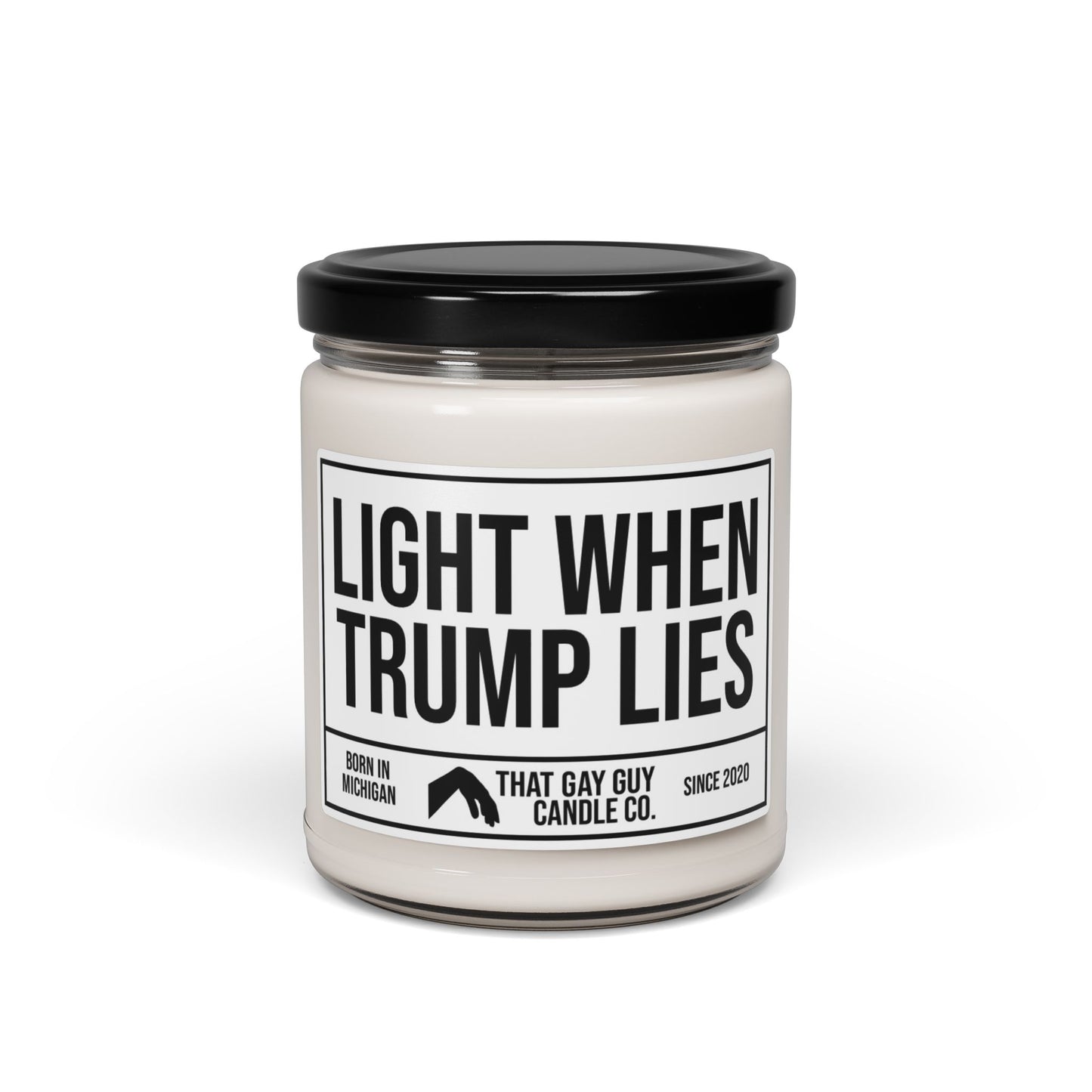 LIGHT WHEN TRUMP LIES