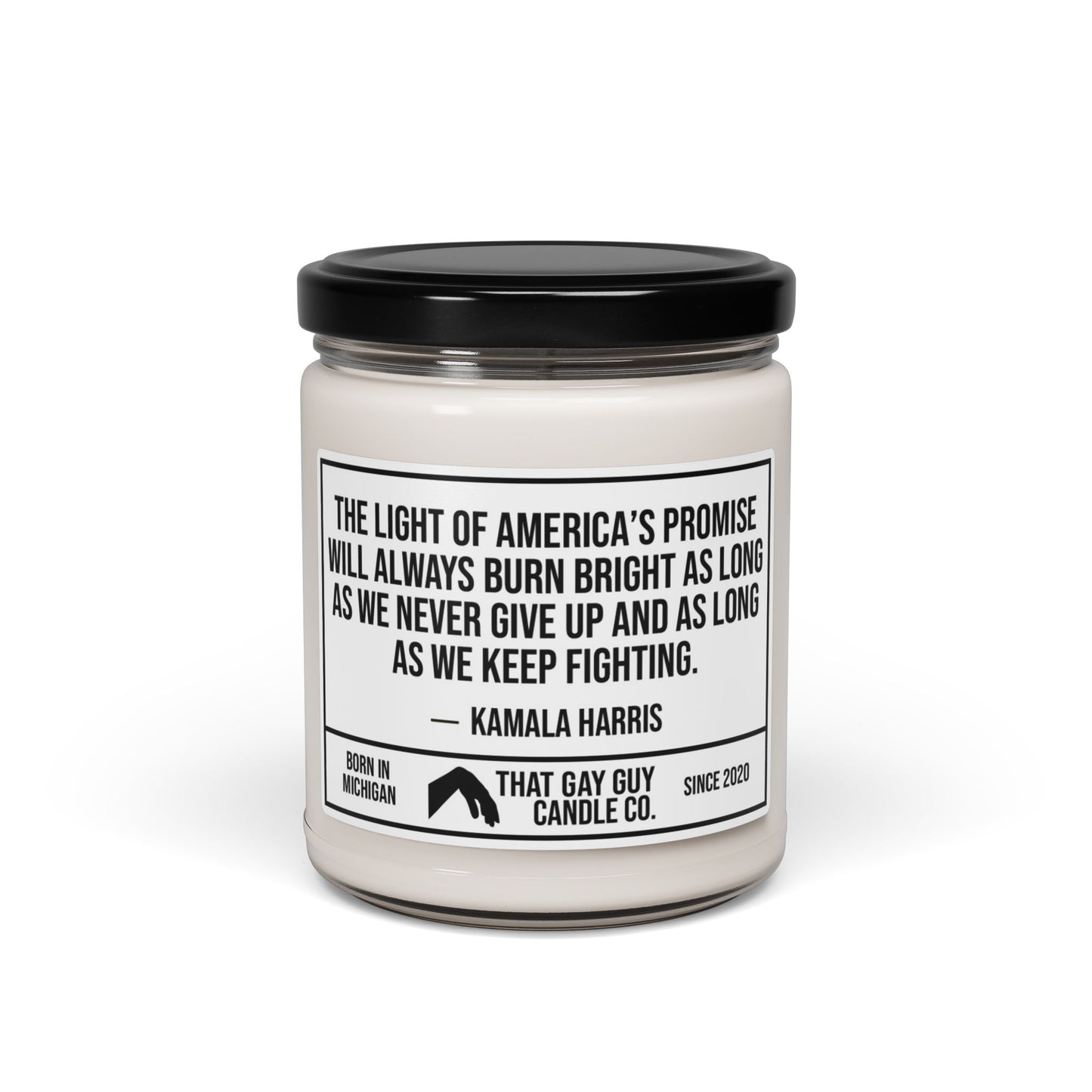 THE LIGHT OF AMERICA'S PROMISE