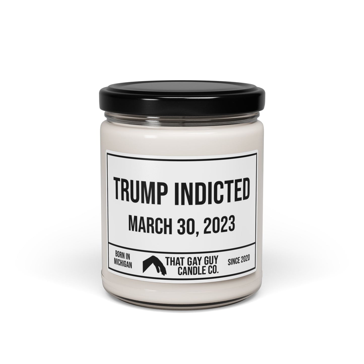 TRUMP INDICTED - MARCH 30, 2023