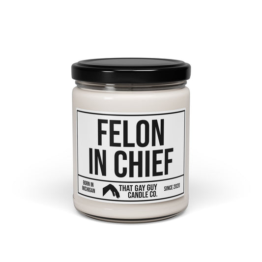 FELON IN CHIEF