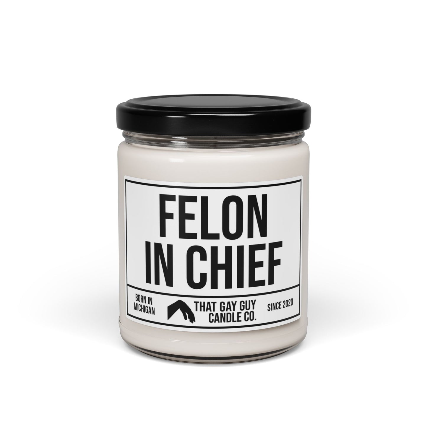 FELON IN CHIEF