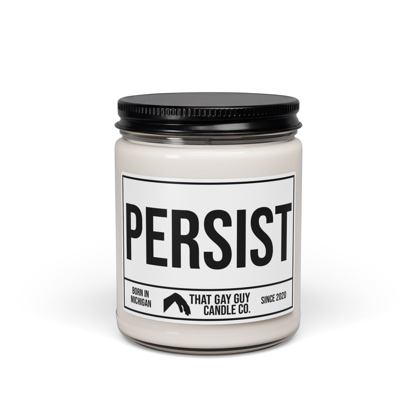 PERSIST