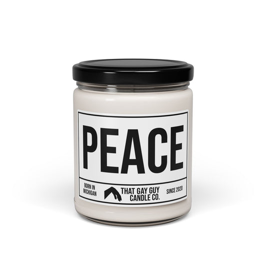 PEACE (BENEFITS WORLD CENTRAL KITCHEN'S EFFORTS IN GAZA)