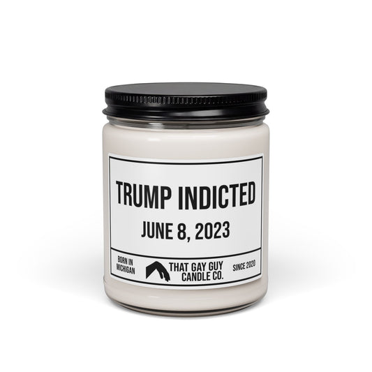 TRUMP INDICTED - JUNE 8, 2023
