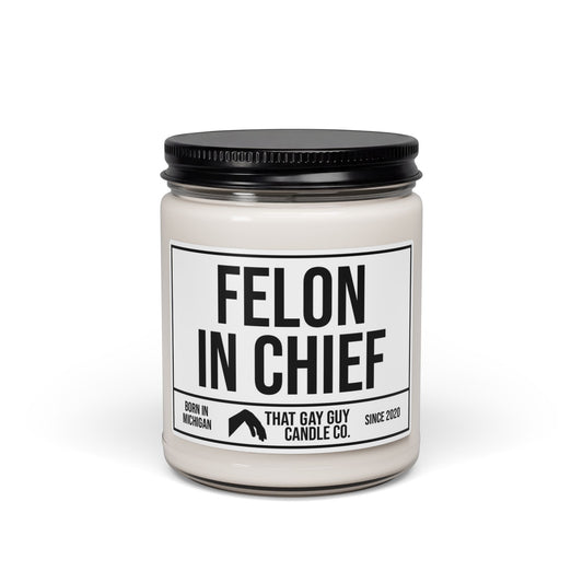 FELON IN CHIEF