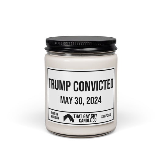 TRUMP CONVICTED - MAY 30, 2024