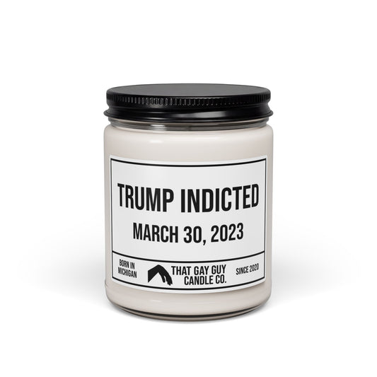 TRUMP INDICTED - MARCH 30, 2023