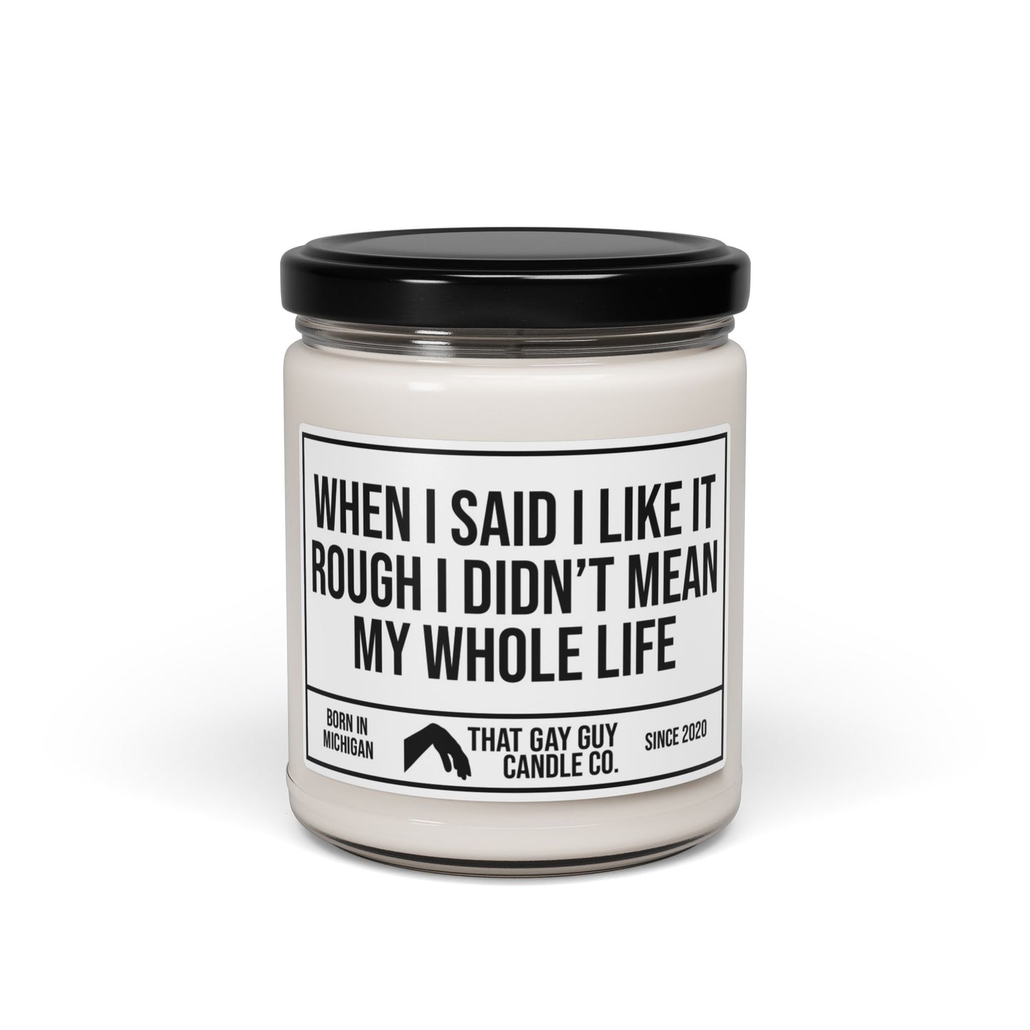 WHEN I SAID I LIKE IT ROUGH I DIDN'T MEAN MY WHOLE LIFE