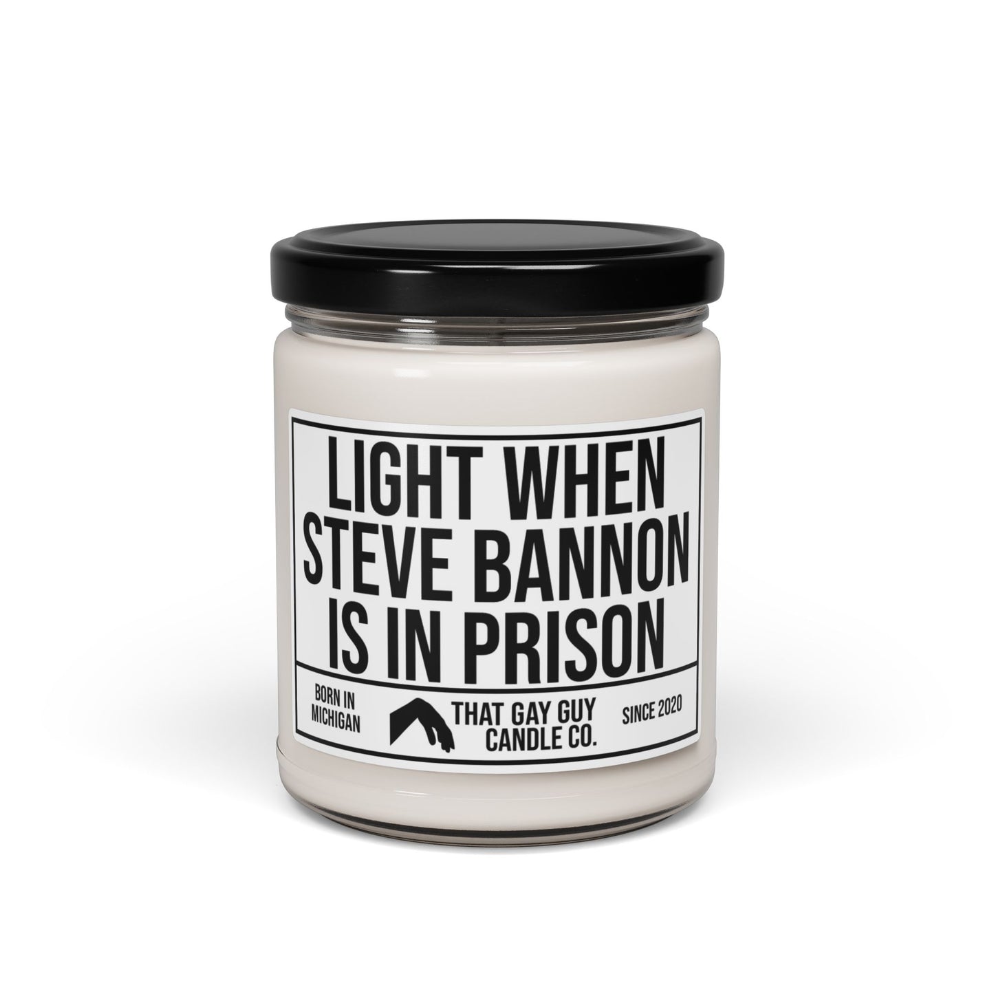 LIGHT WHEN STEVE BANNON IS IN PRISON