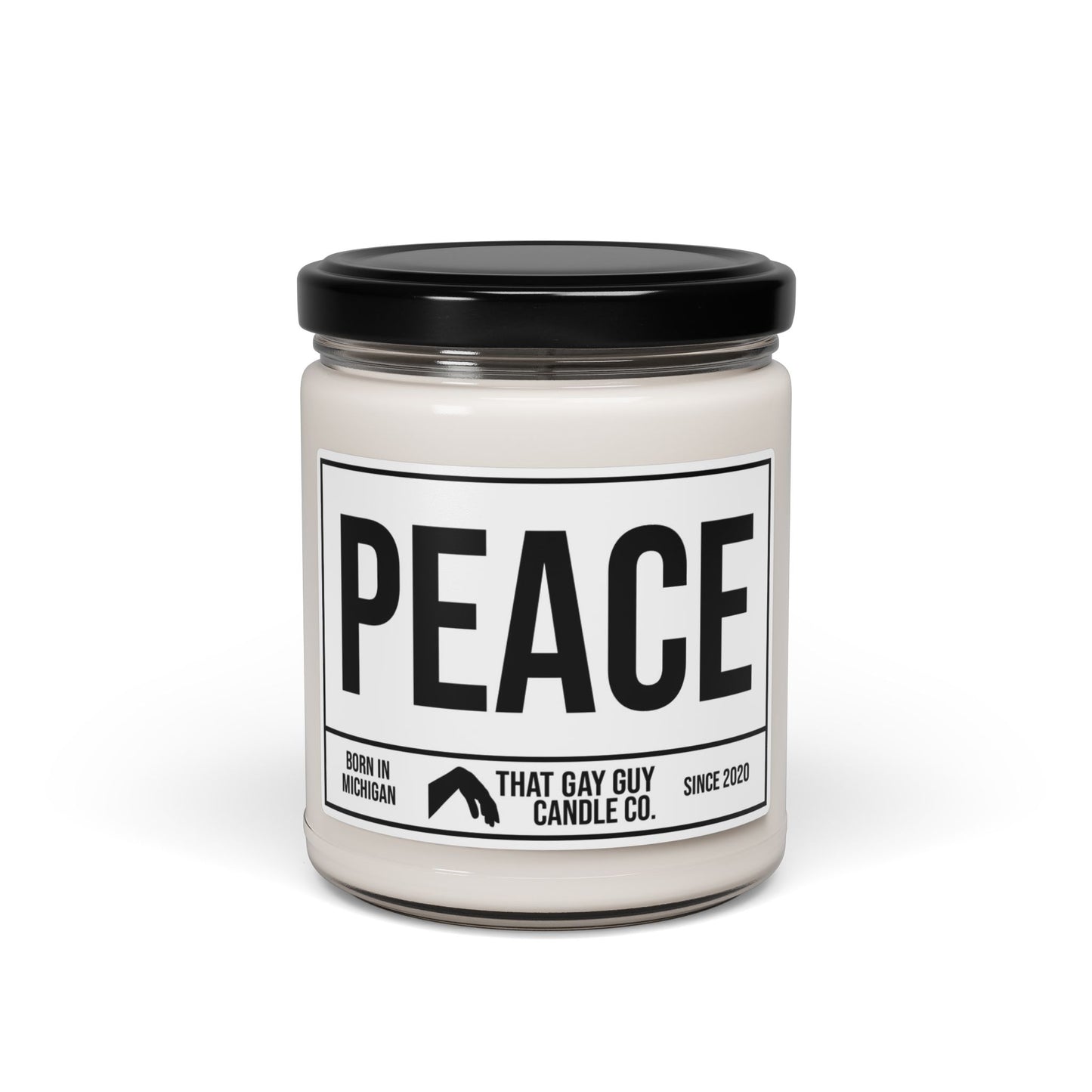 PEACE (BENEFITS WORLD CENTRAL KITCHEN'S EFFORTS IN GAZA)