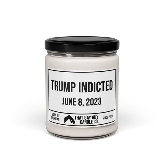 TRUMP INDICTED - JUNE 8, 2023