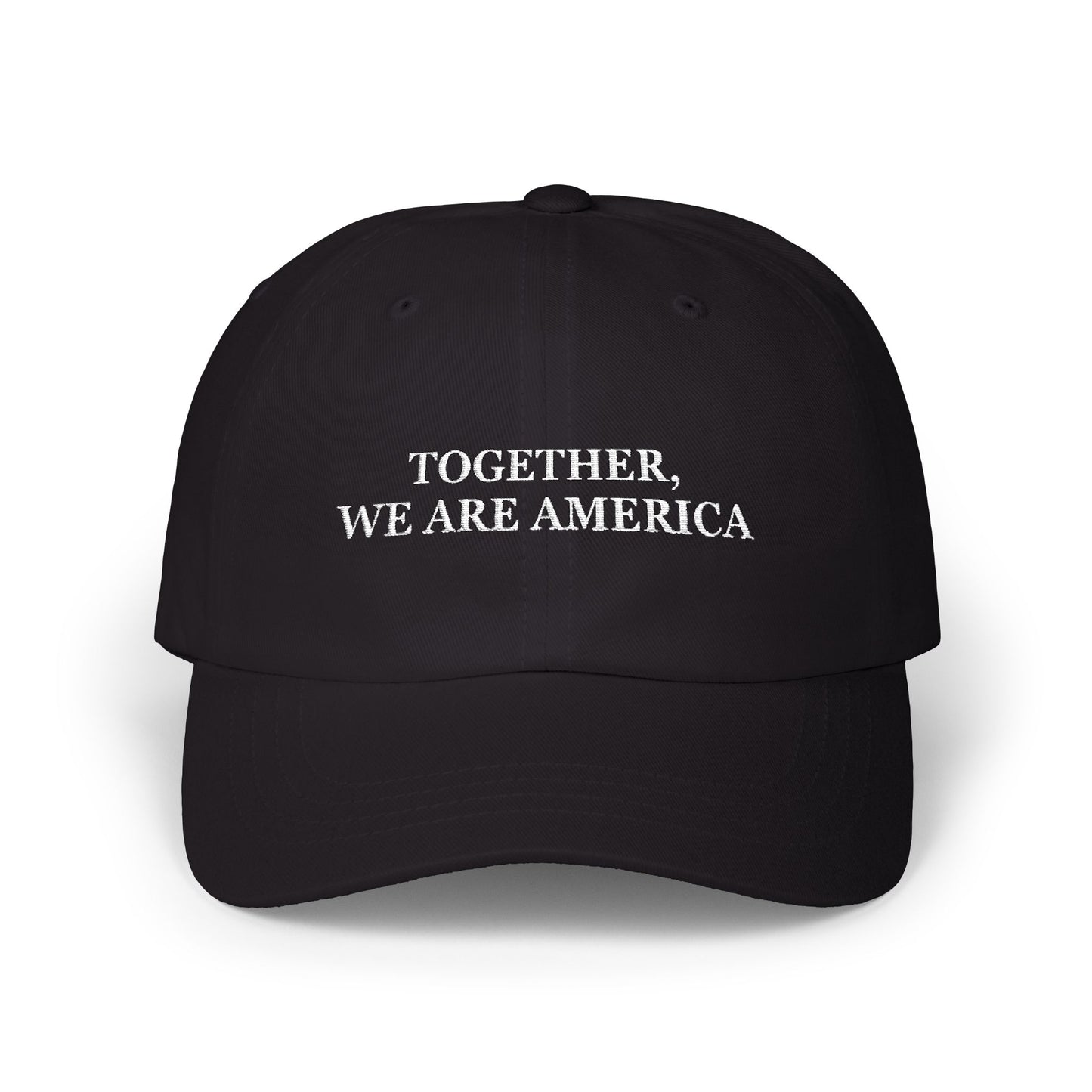 TOGETHER WE ARE AMERICA CAP