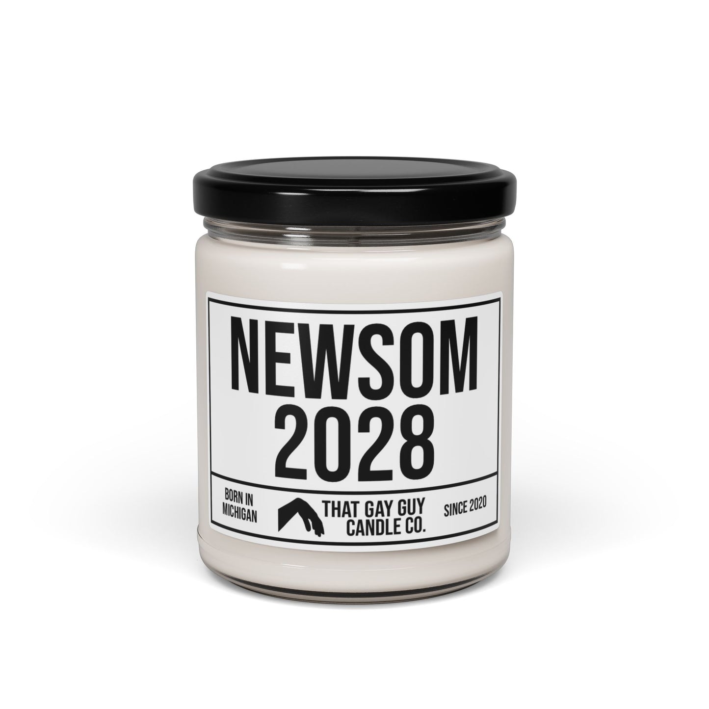 NEWSOM 2028