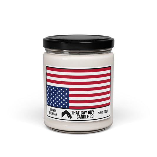 AMERICA IN DISTRESS
