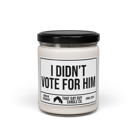 I DIDN'T VOTE FOR HIM