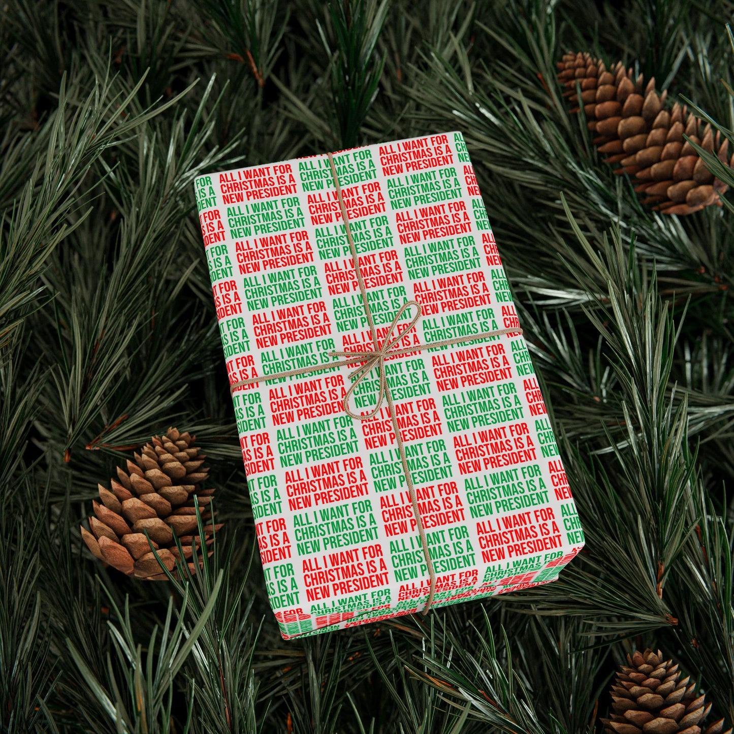 ALL I WANT FOR CHRISTMAS IS A NEW PRESIDENT WRAPPING PAPER RED AND GREEN