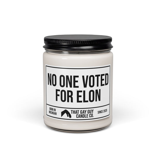 NO ONE VOTED FOR ELON