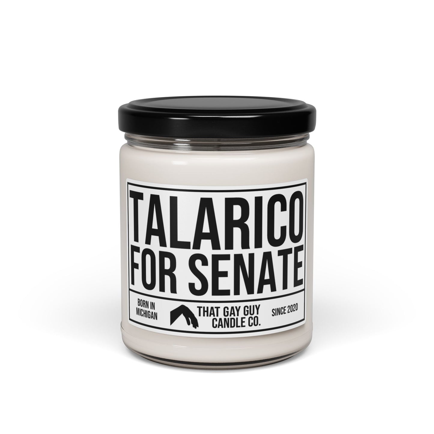 TALARICO FOR SENATE