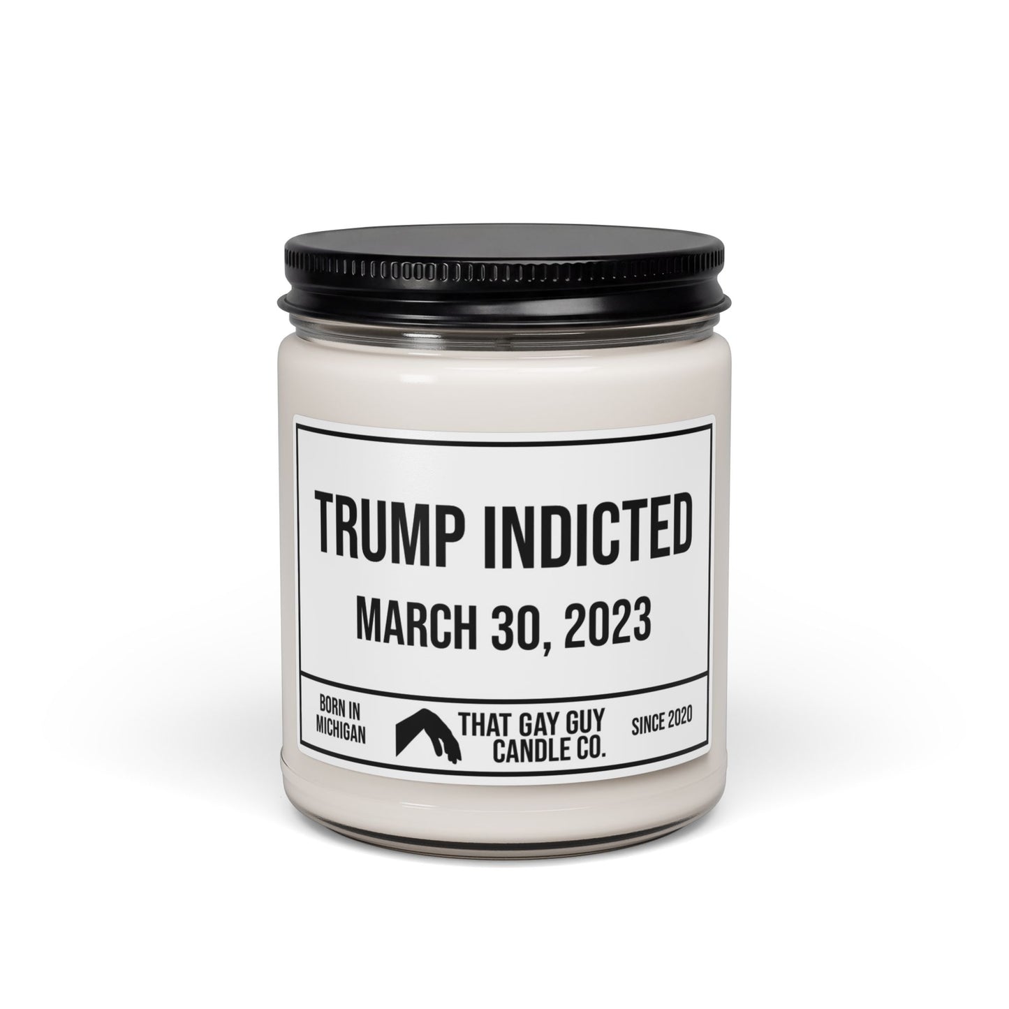 TRUMP INDICTED - MARCH 30, 2023
