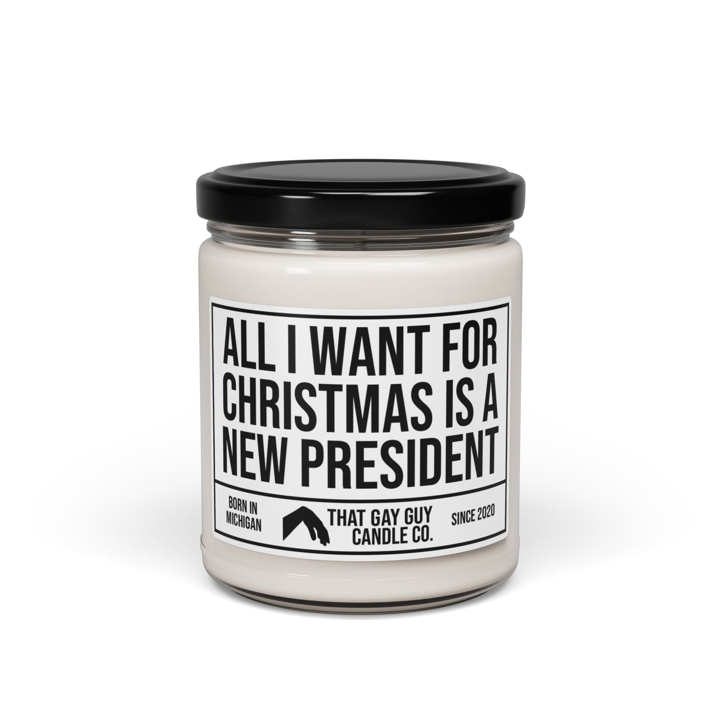 ALL I WANT FOR CHRISTMAS IS A NEW PRESIDENT
