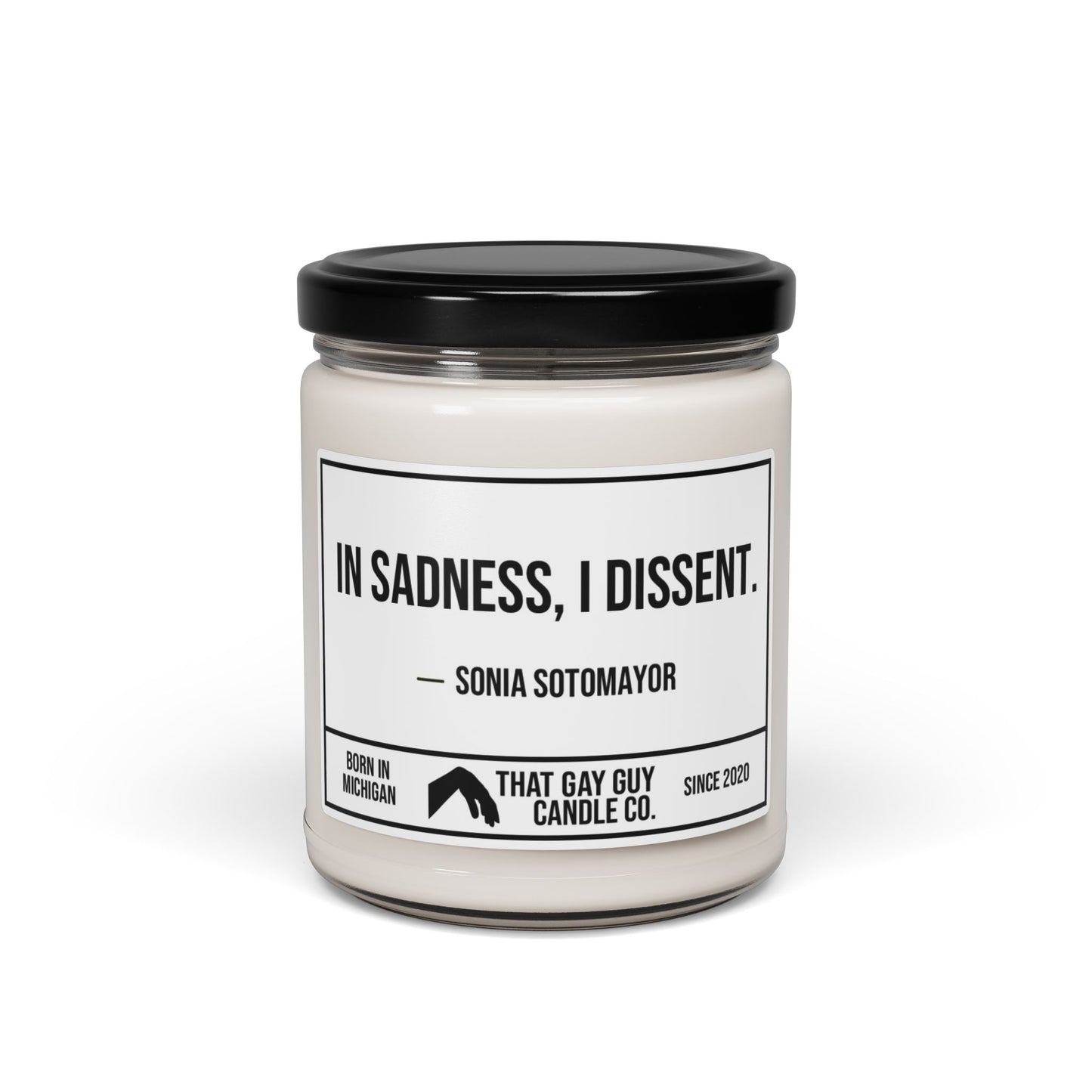 IN SADNESS I DISSENT