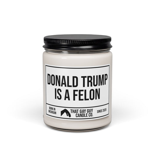 DONALD TRUMP IS A FELON