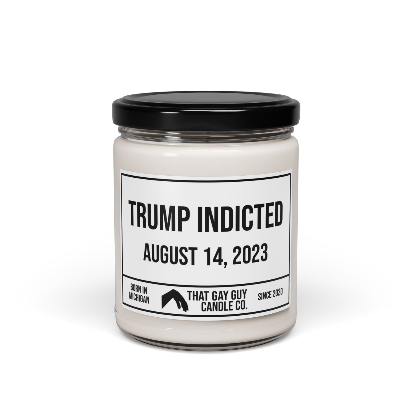 TRUMP INDICTED - AUGUST 14, 2023