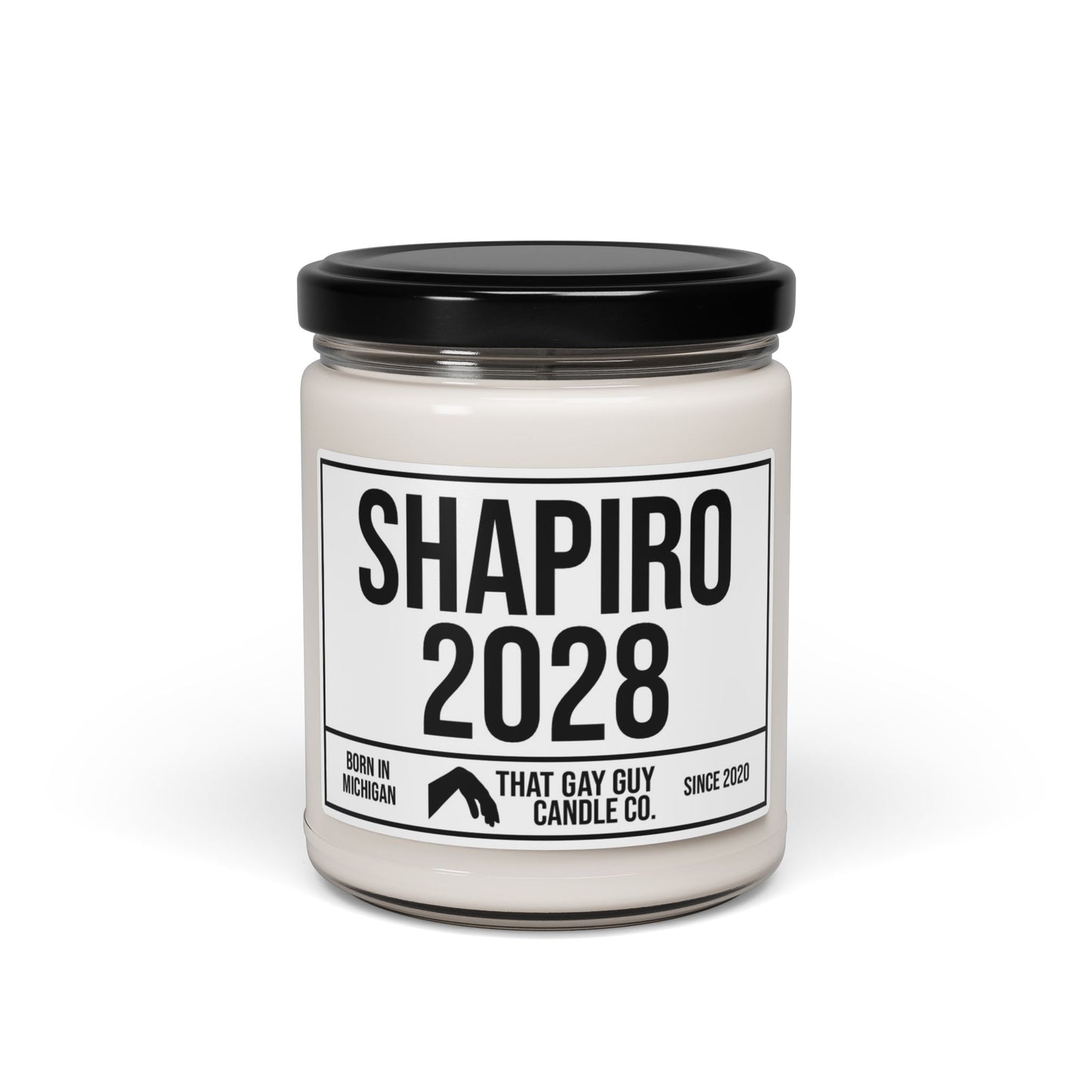 SHAPIRO 2028
