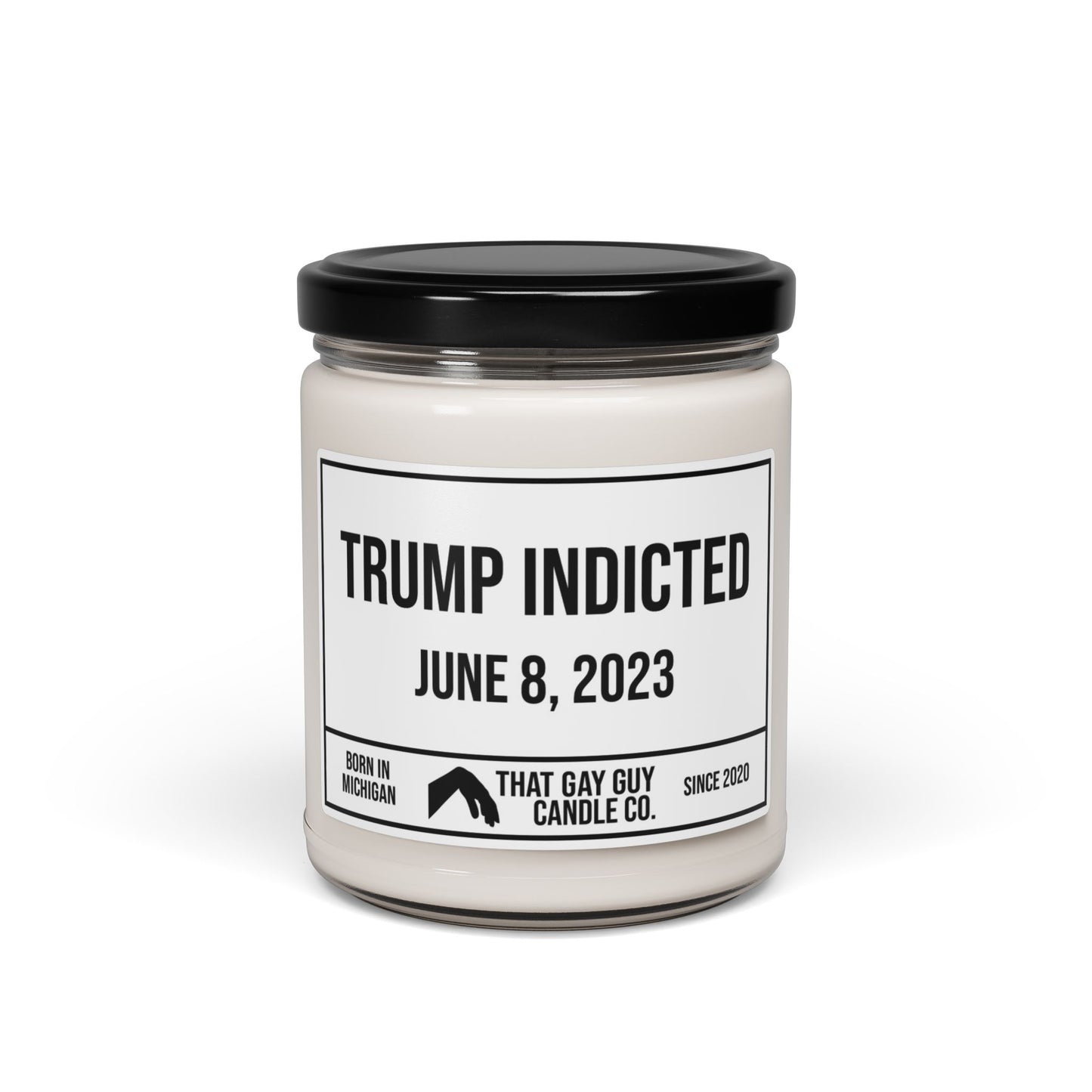 TRUMP INDICTED - JUNE 8, 2023