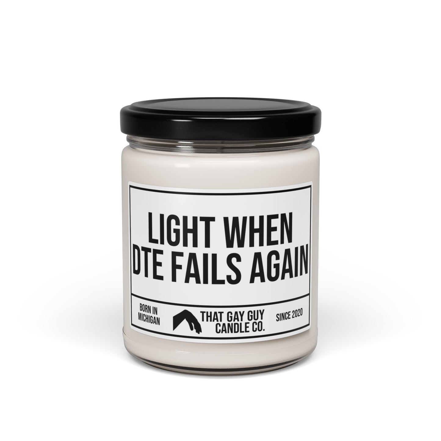 LIGHT WHEN DTE FAILS AGAIN