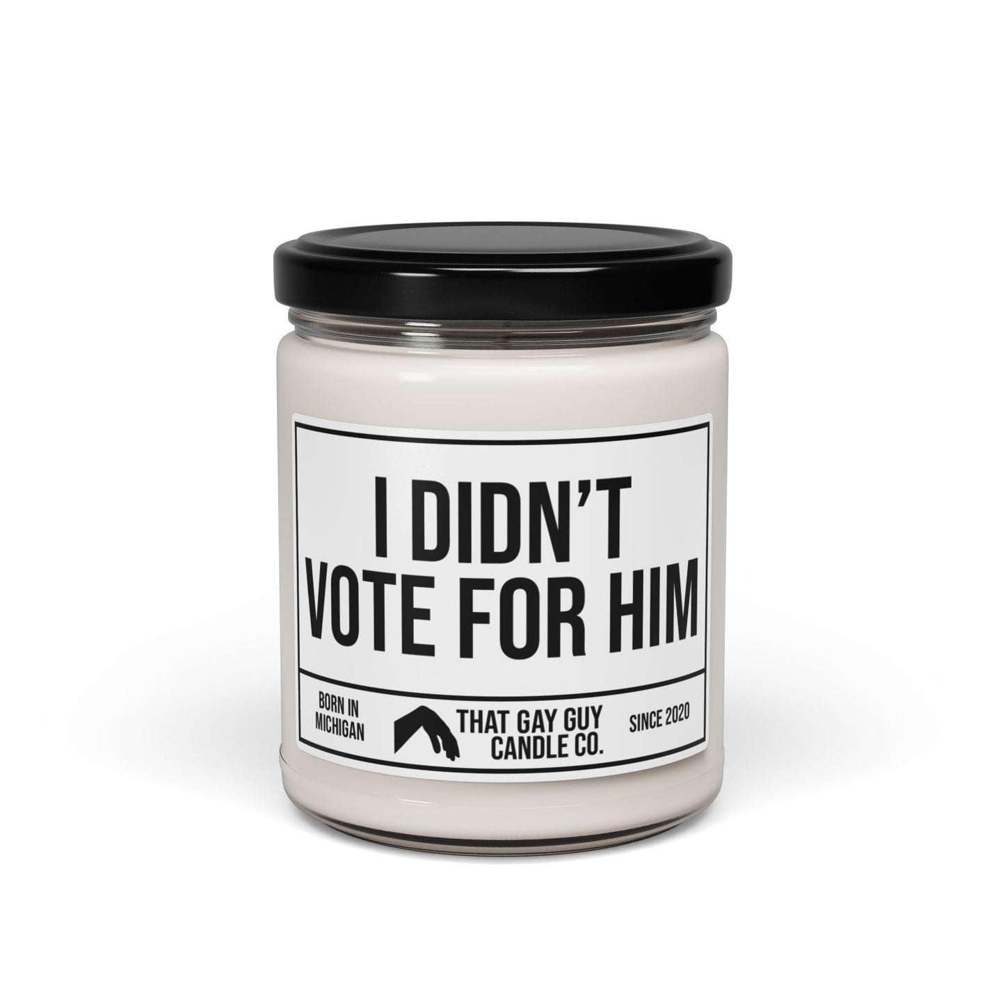I DIDN'T VOTE FOR HIM