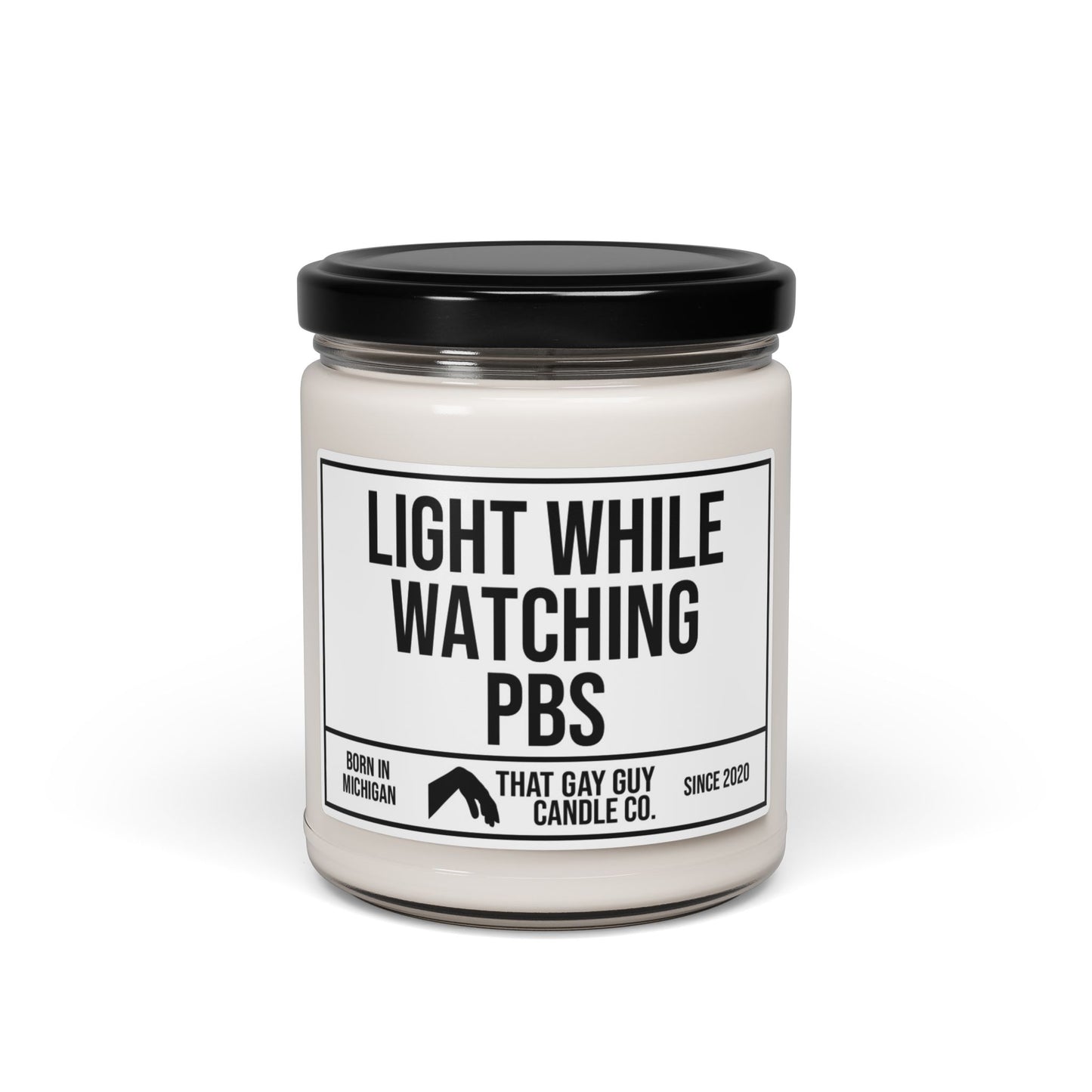 LIGHT WHILE WATCHING PBS (BENEFITS PBS)