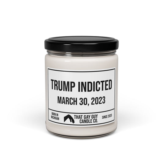 TRUMP INDICTED - MARCH 30, 2023